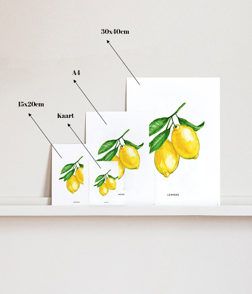 Poster 30x40 Baby leeuw