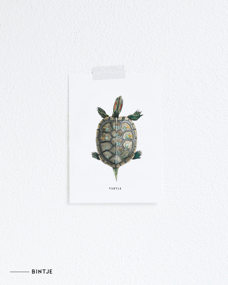 Wenskaart Schildpad
