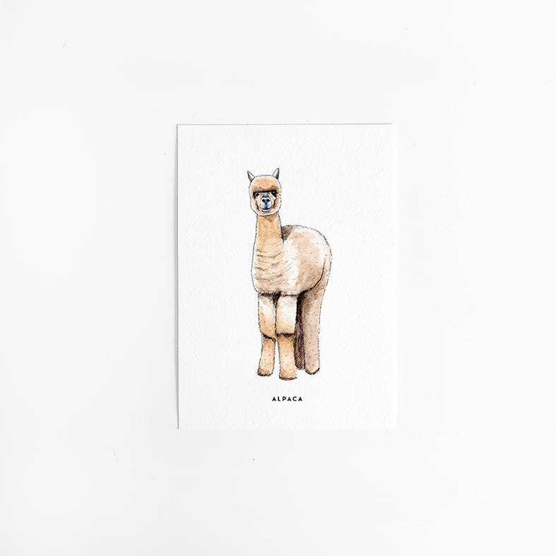Wenskaart Alpaca