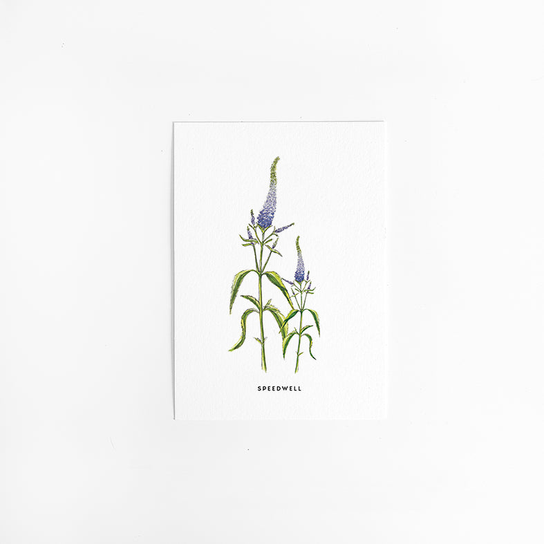 Wenskaart Bloemen: Ereprijs