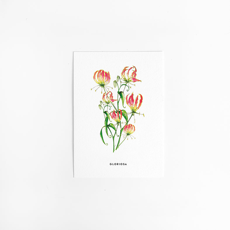 Wenskaart Bloemen: Gloriosa