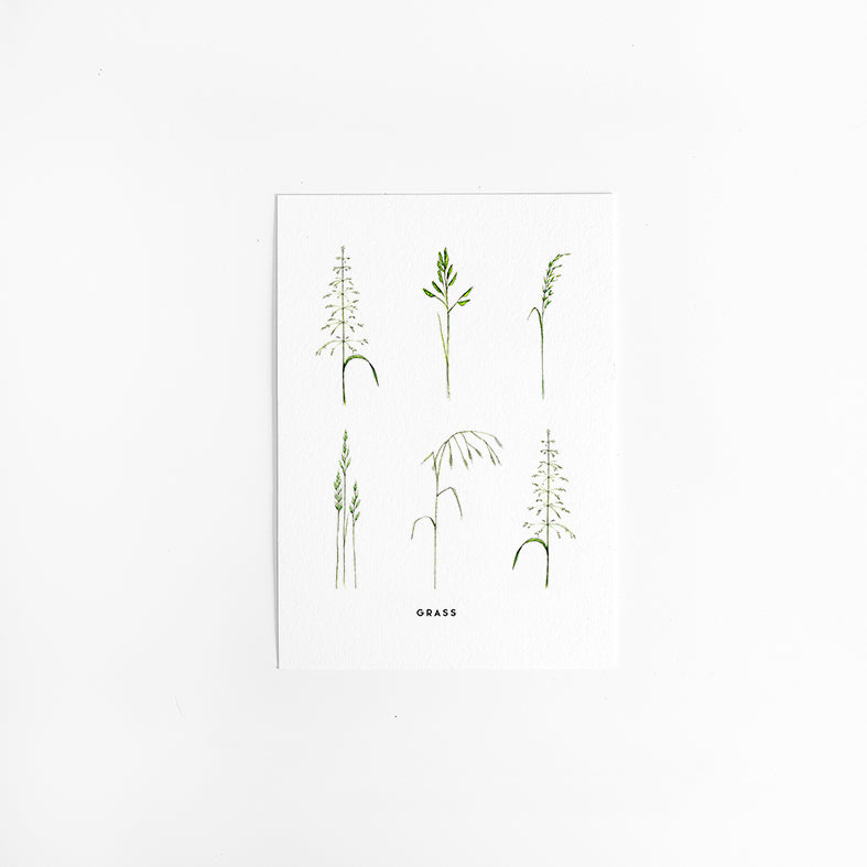 Wenskaart Bloemen: Gras