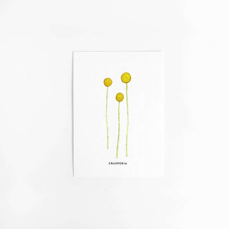 Wenskaart Bloemen: Graspedia