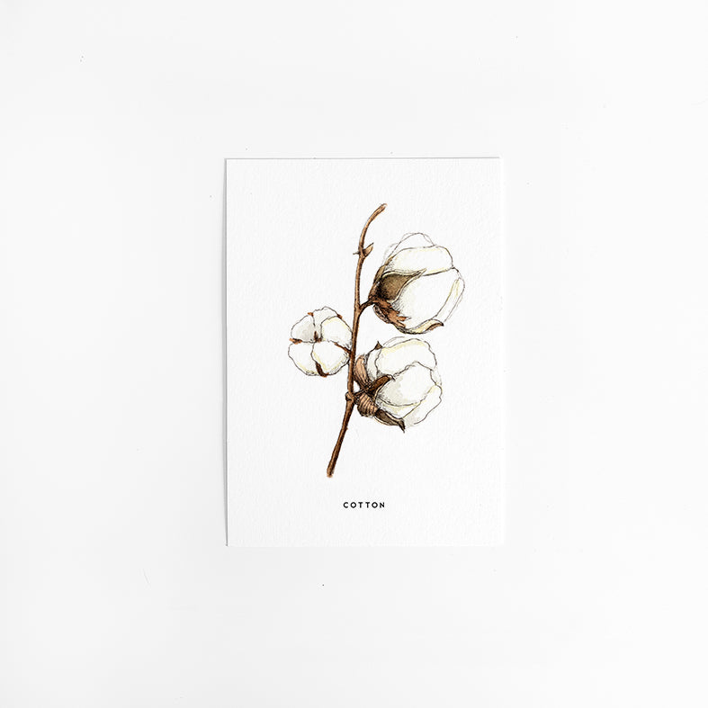 Wenskaart Bloemen: Katoenplant