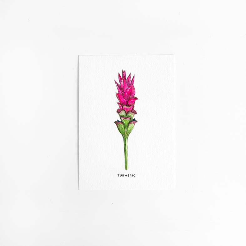 Wenskaart Bloemen: Kurkuma