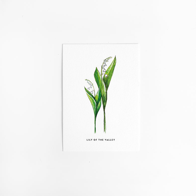 Wenskaart Bloemen: Lelietje van dalen