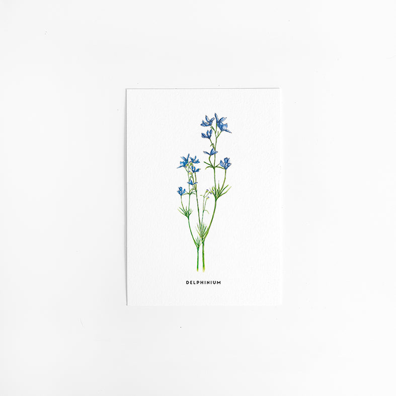 Wenskaart Bloemen: Ridderspoor