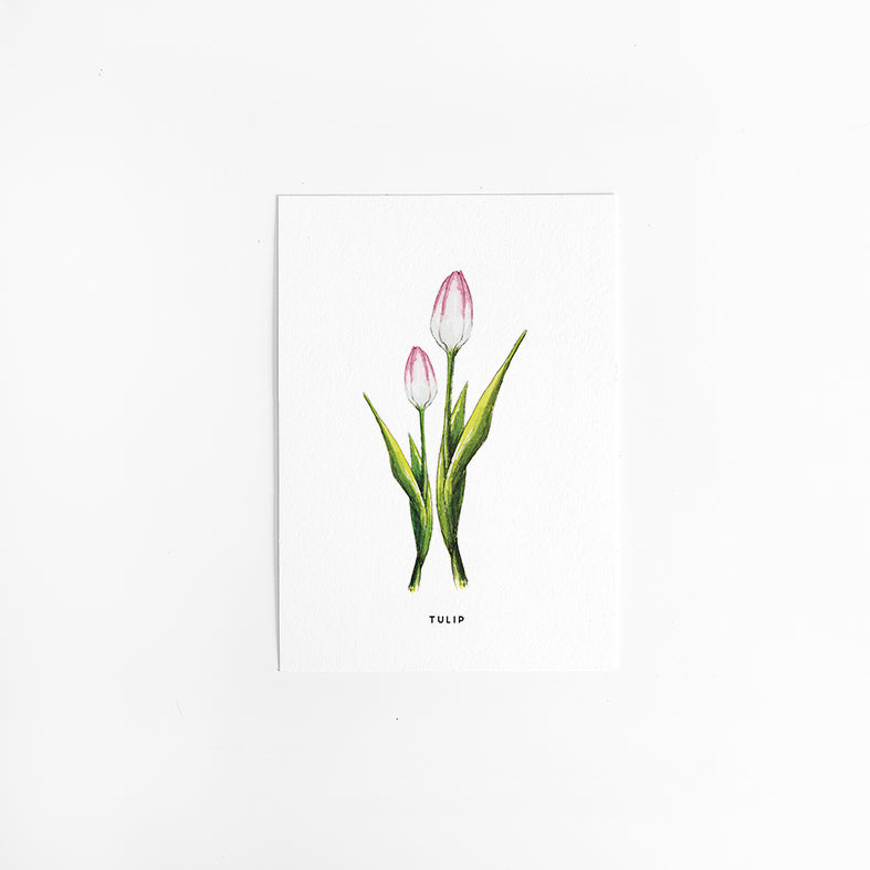 Wenskaart Bloemen: Tulp