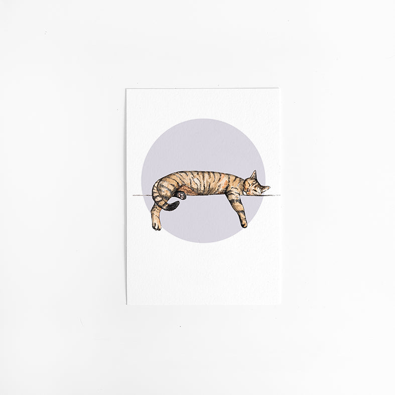 Wenskaart Cirkel Poes