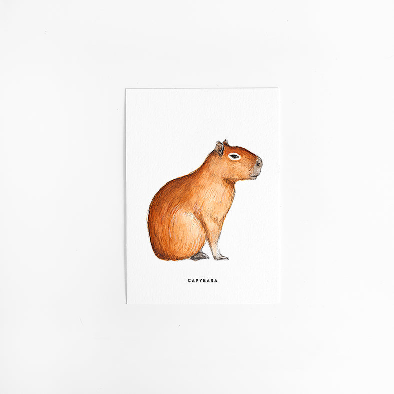Wenskaart Capibara