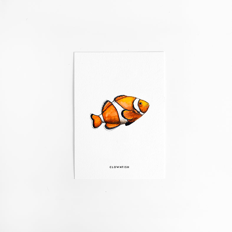 Wenskaart Clownvis Nemo