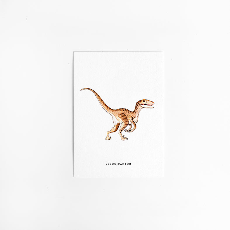 Wenskaart Dino - Velociraptor
