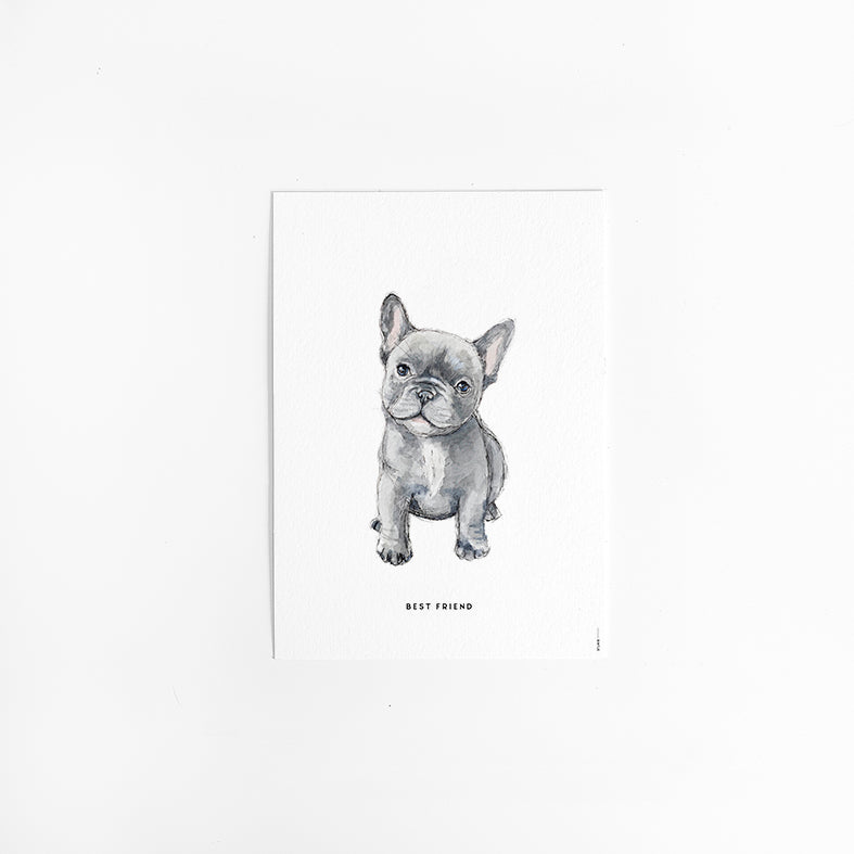 Wenskaart Hond: Franse Bulldog