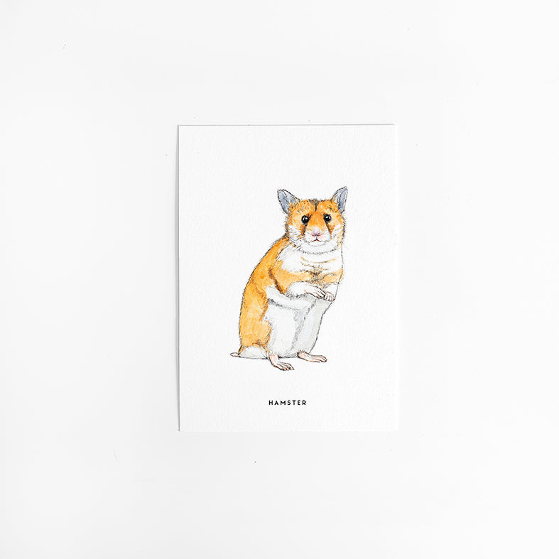 Wenskaart Hamster