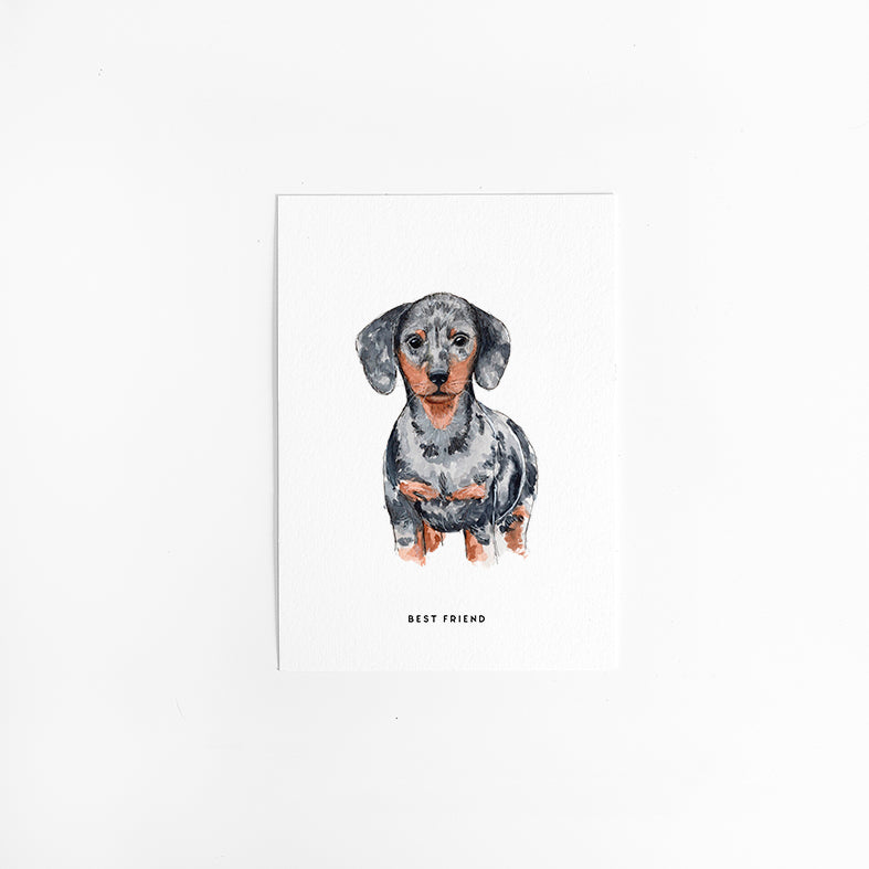 Wenskaart Hond: Teckel
