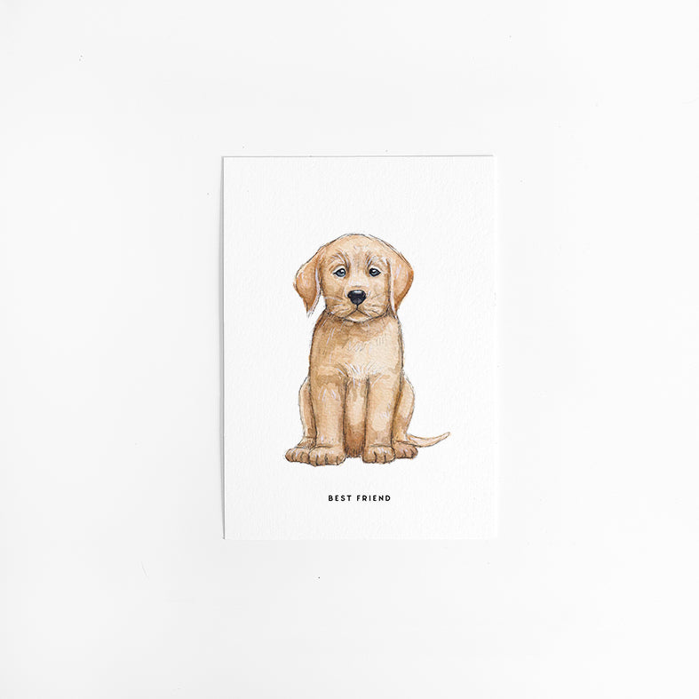 Wenskaart Hond: Labrador / Golden Retriever