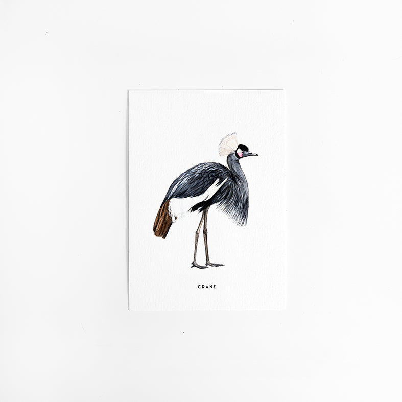 Wenskaart Kraanvogel