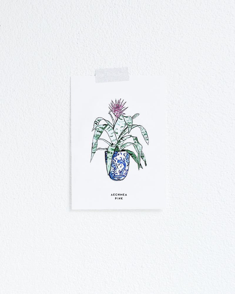 Wenskaart Planten: Achmea Pink
