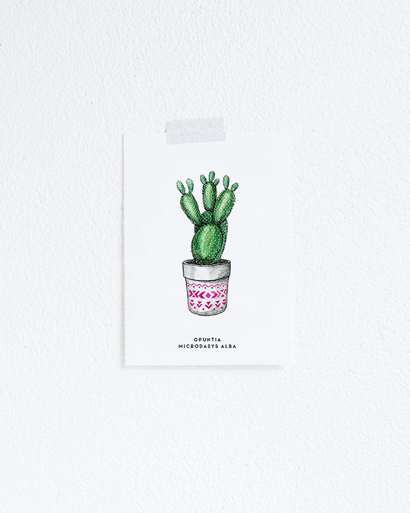Wenskaart Planten: Cactus