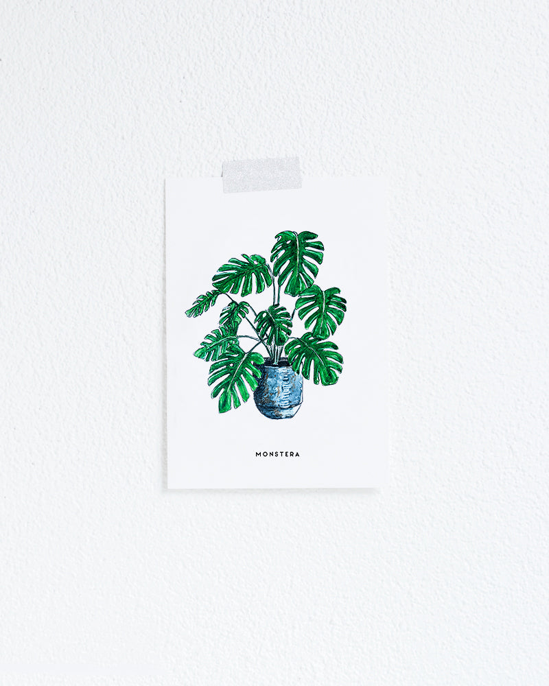 Wenskaart Planten: Monstera