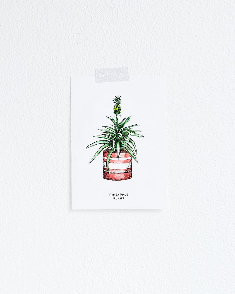 Wenskaart Planten: Ananas