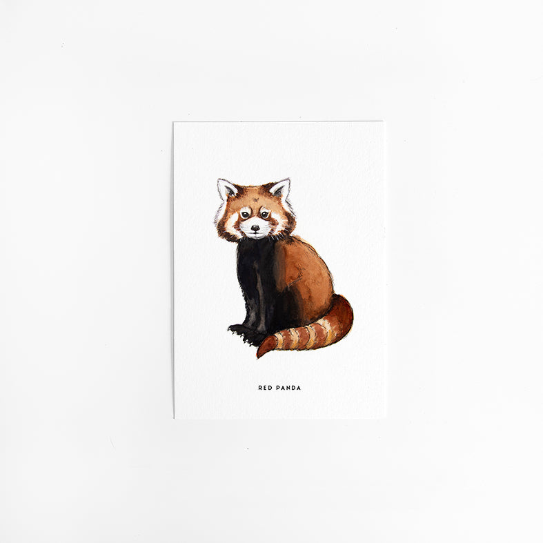 Wenskaart Rode Panda