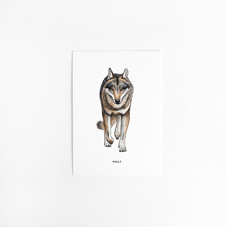 Wenskaart Wolf