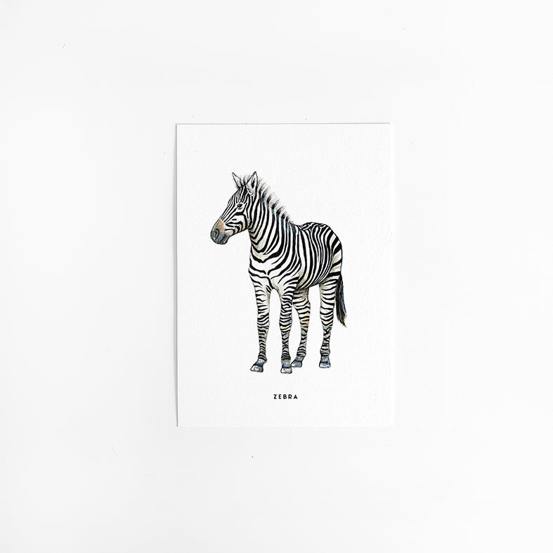 Wenskaart Zebra
