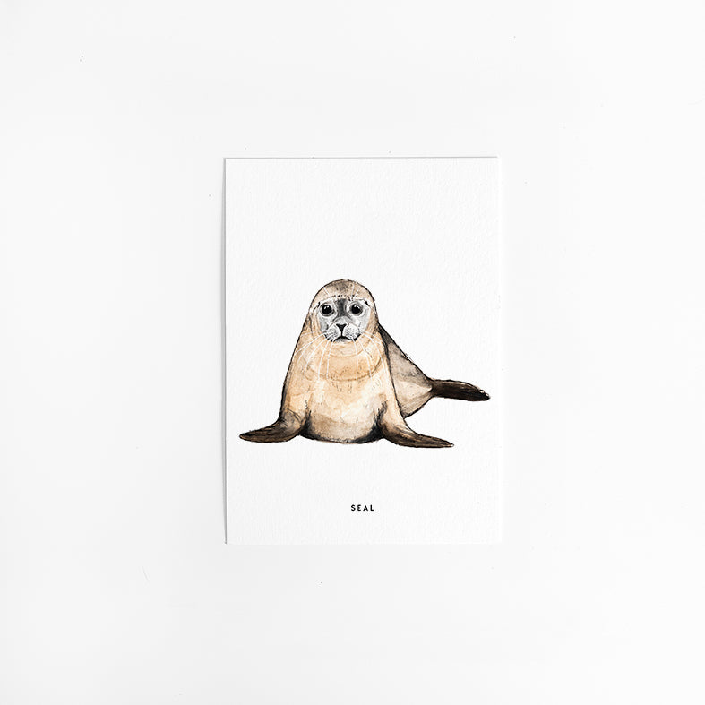 Wenskaart Zeehond