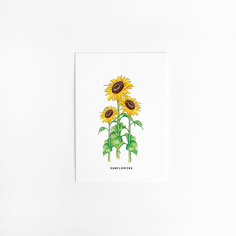 Wenskaart Bloemen: Zonnebloemen