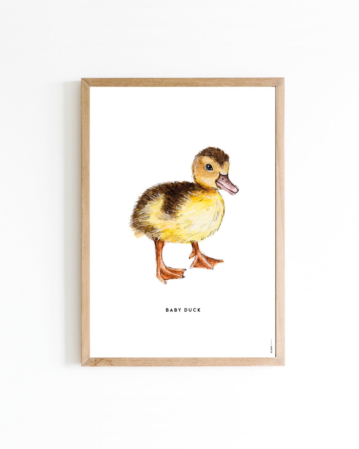 Poster 30x40 Boerderij: Eendje