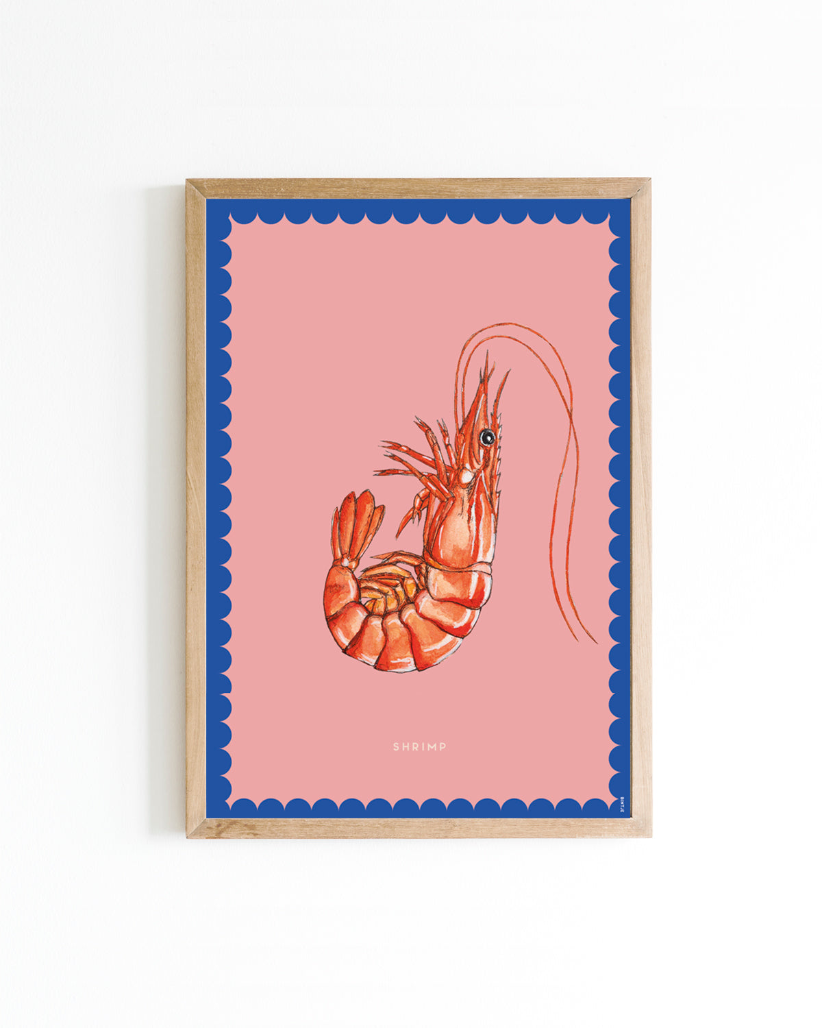 Poster A4 Color Garnaal