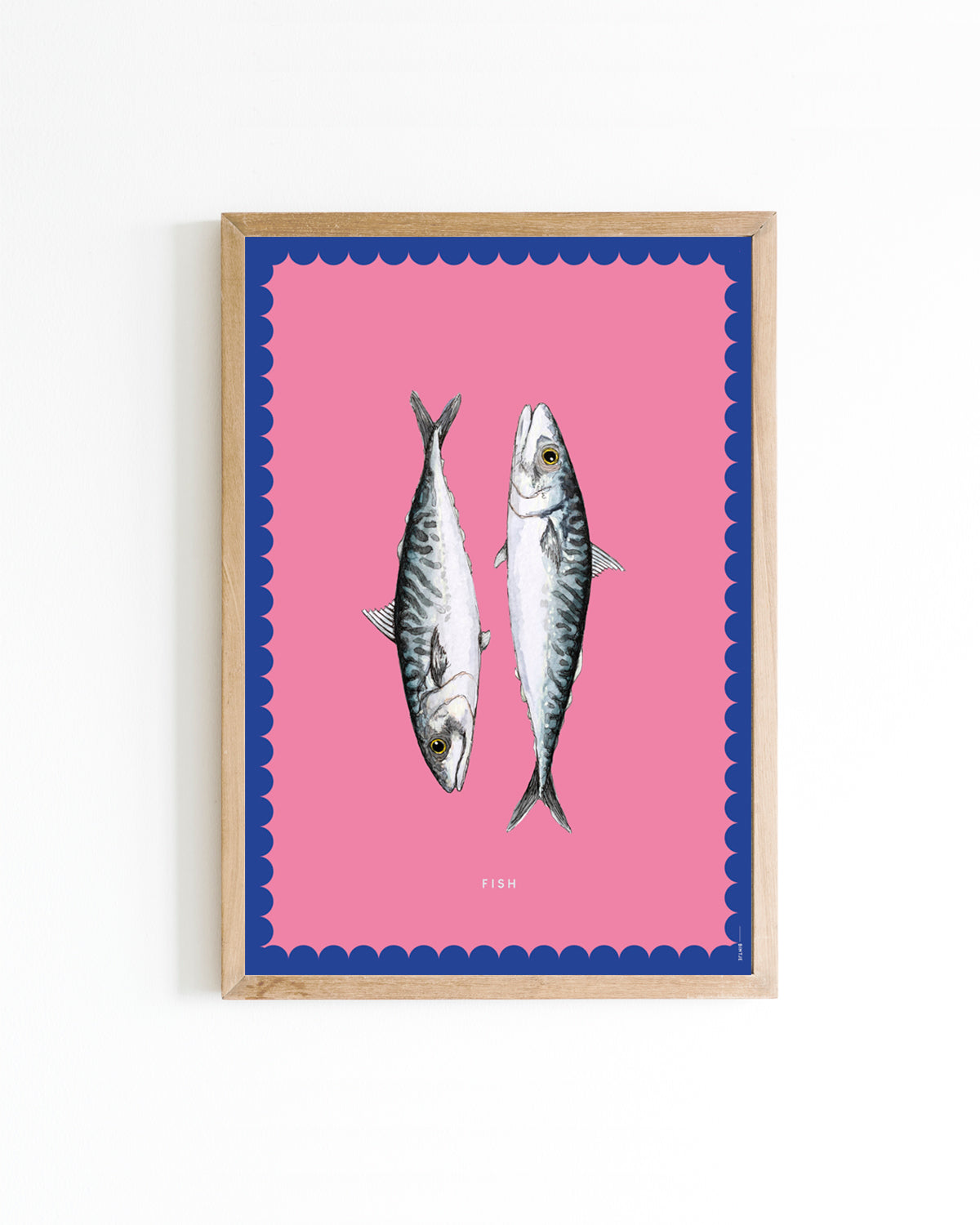 Poster A4 Color Vissen
