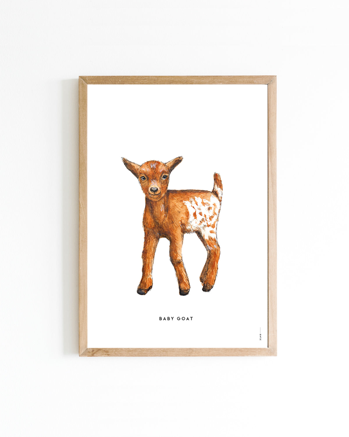 Poster A4 Geitje