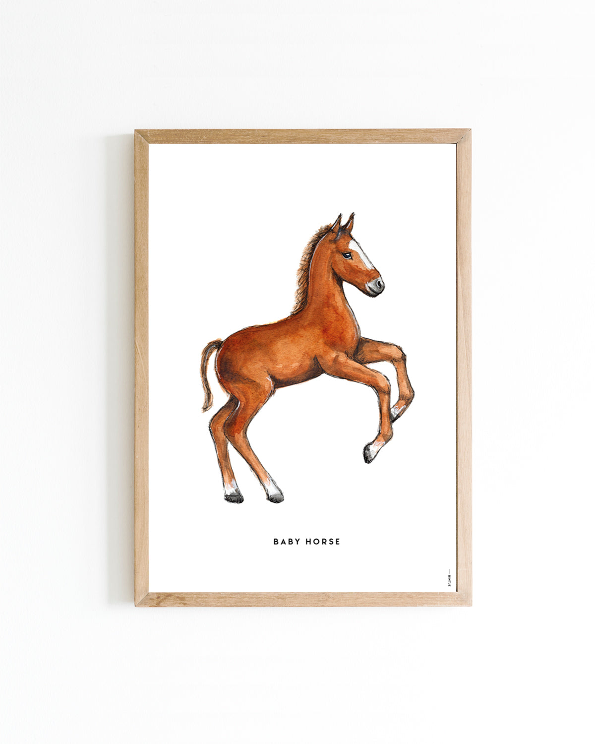 Poster 15x20 Paard veulen