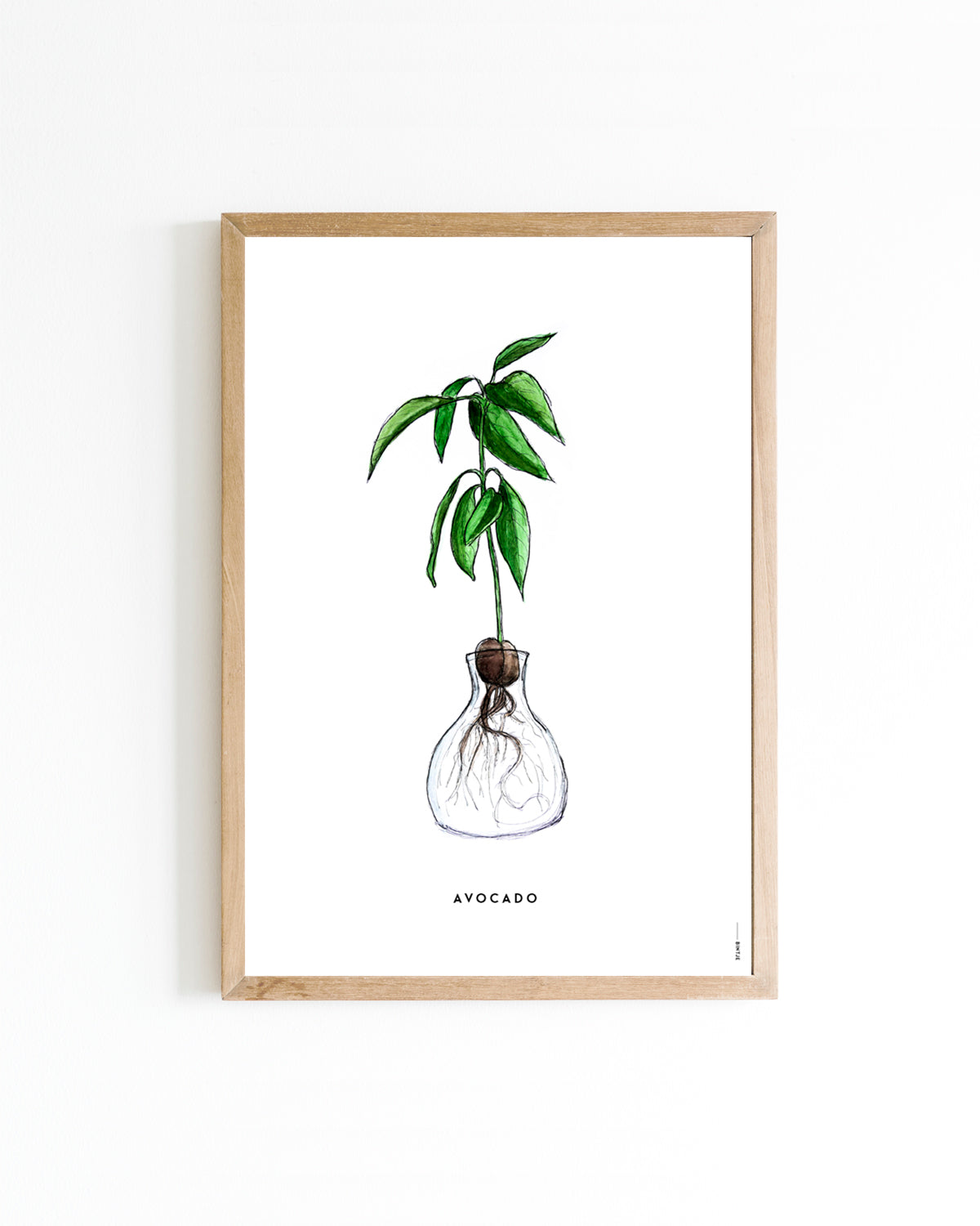 Poster A4 Plant Avocado