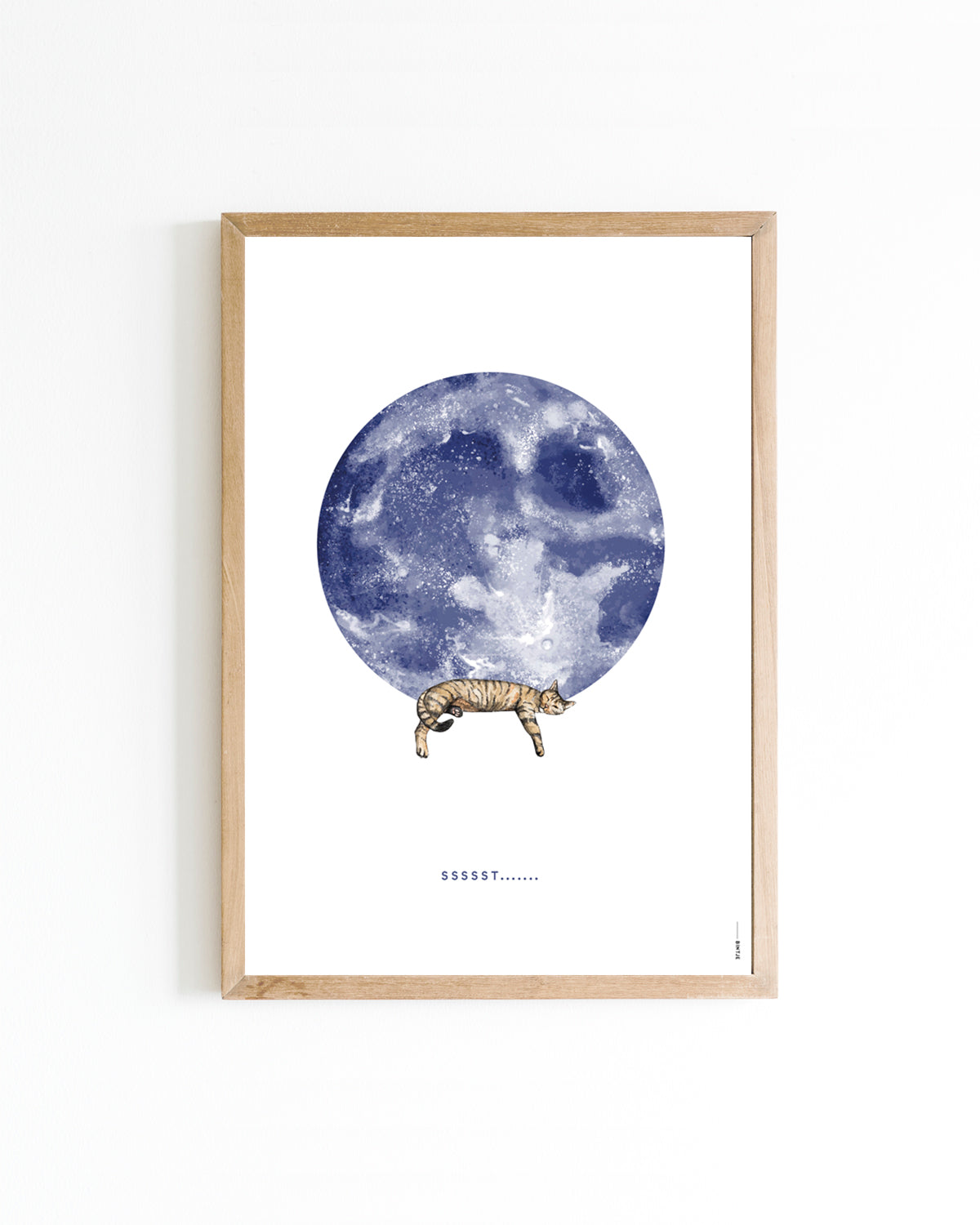 Poster 30x40 Poes op de maan