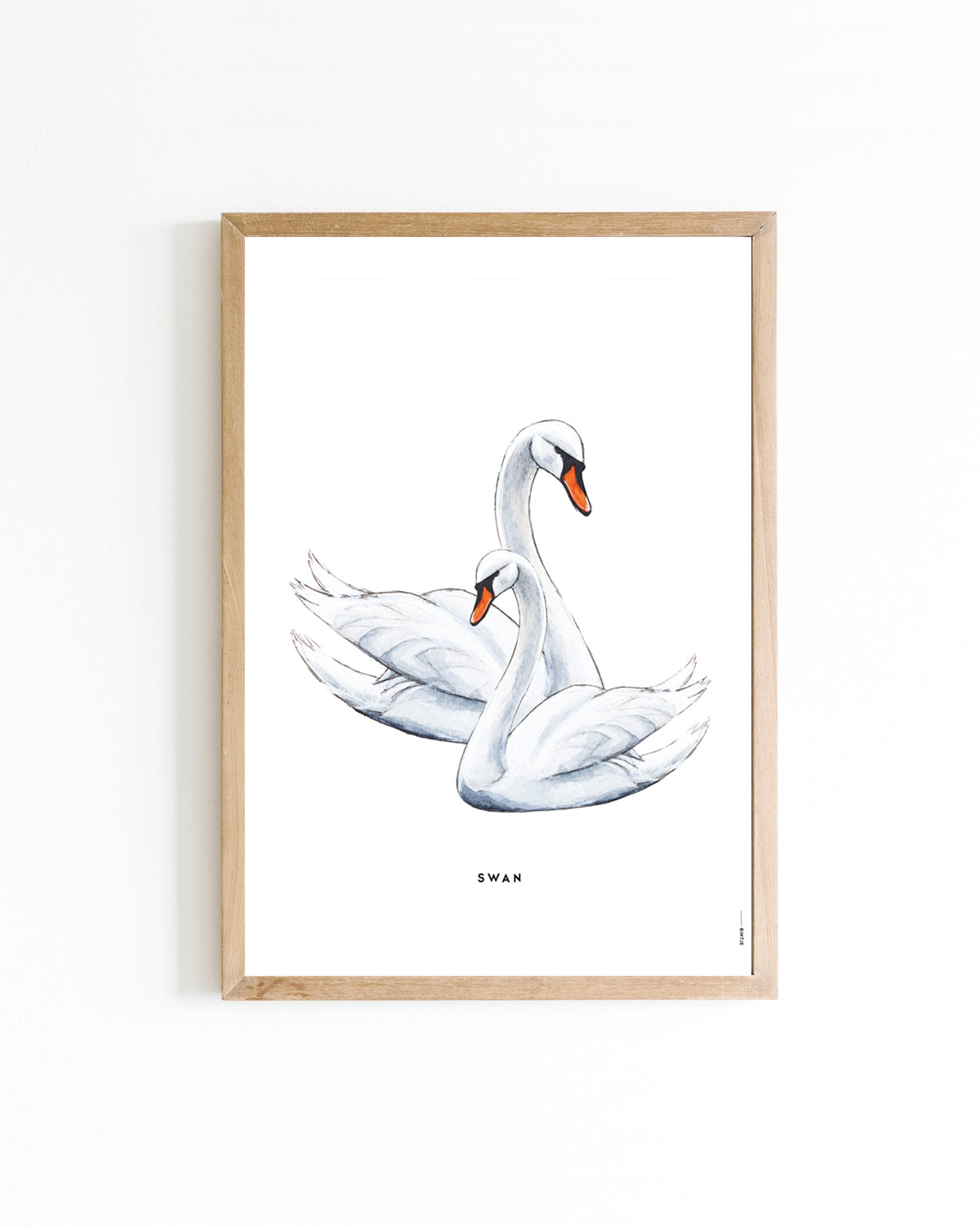 Poster 15x20 Waterdieren: Zwaan
