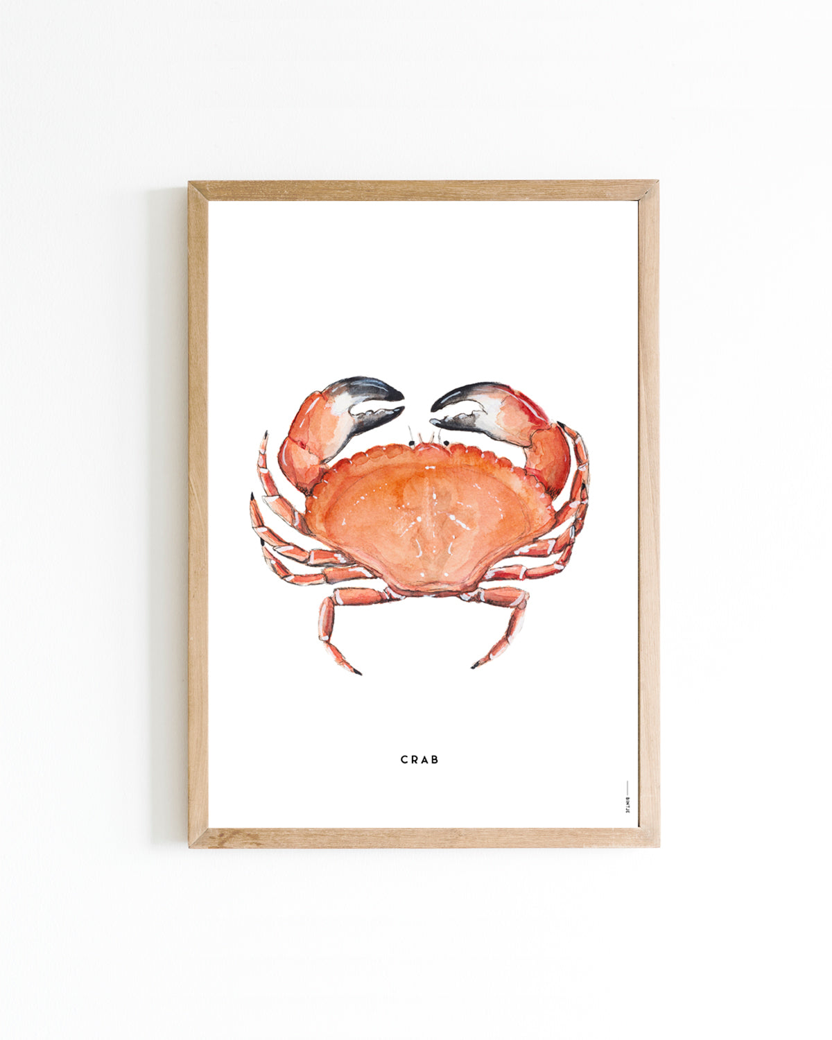 Poster 30x40 Krab