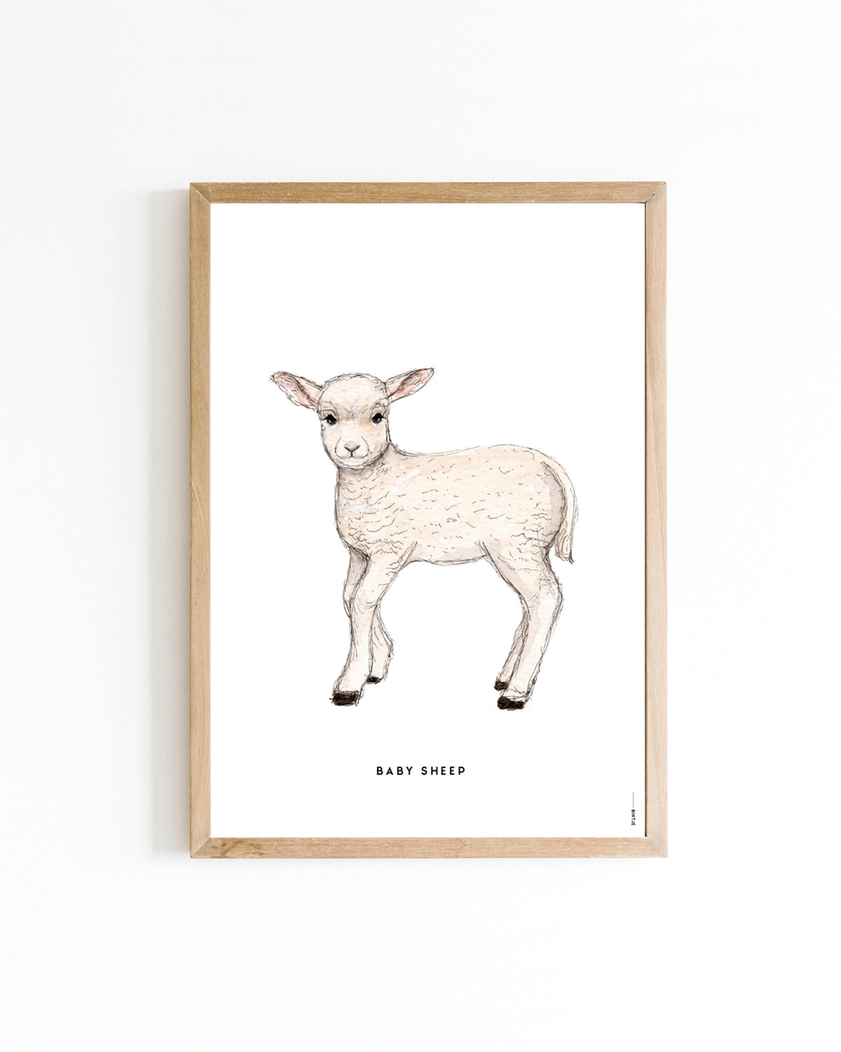 Poster 30x40 Boerderij: Lammetje