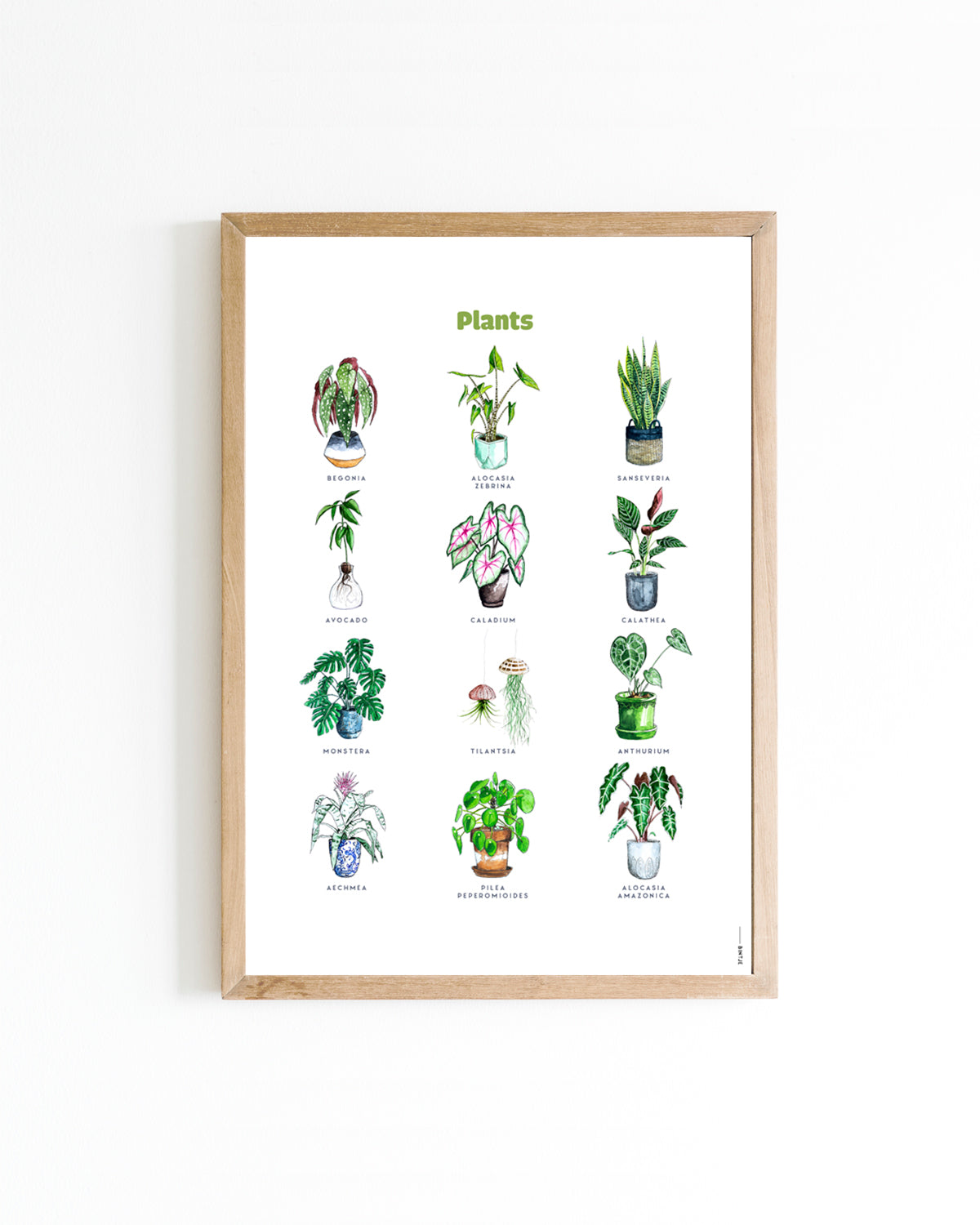 Poster 30x40 Planten