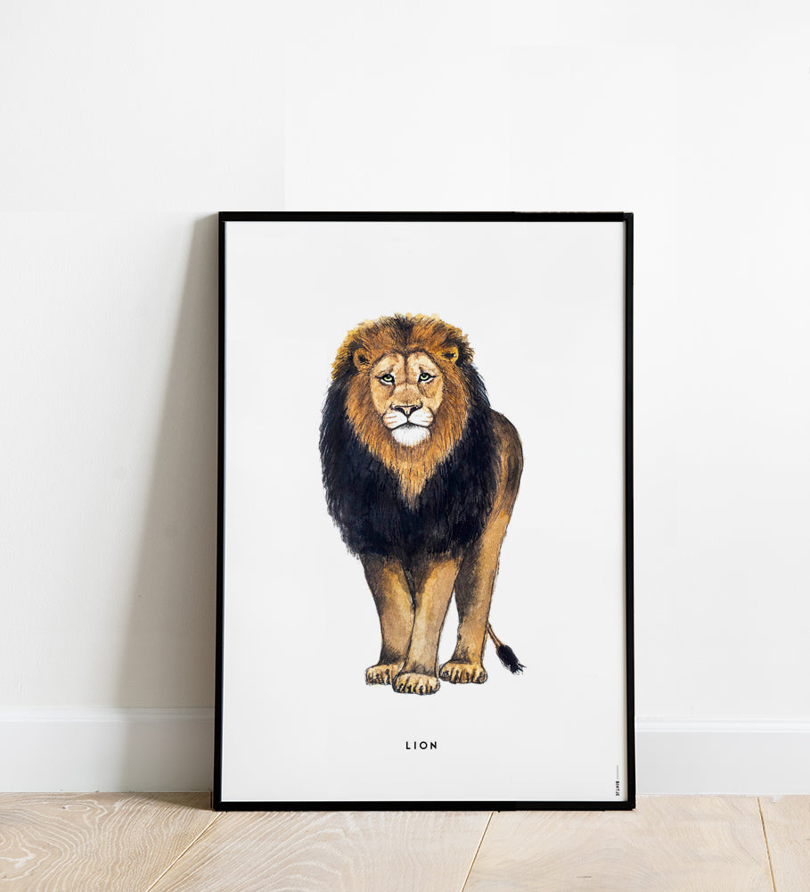 Poster 50x70 Leeuw