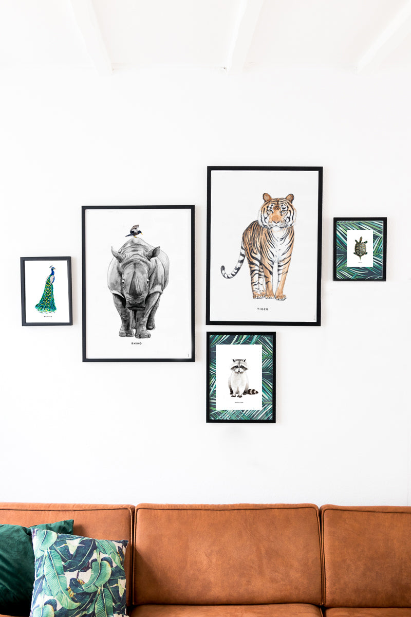 Poster 30x40 Neushoorn