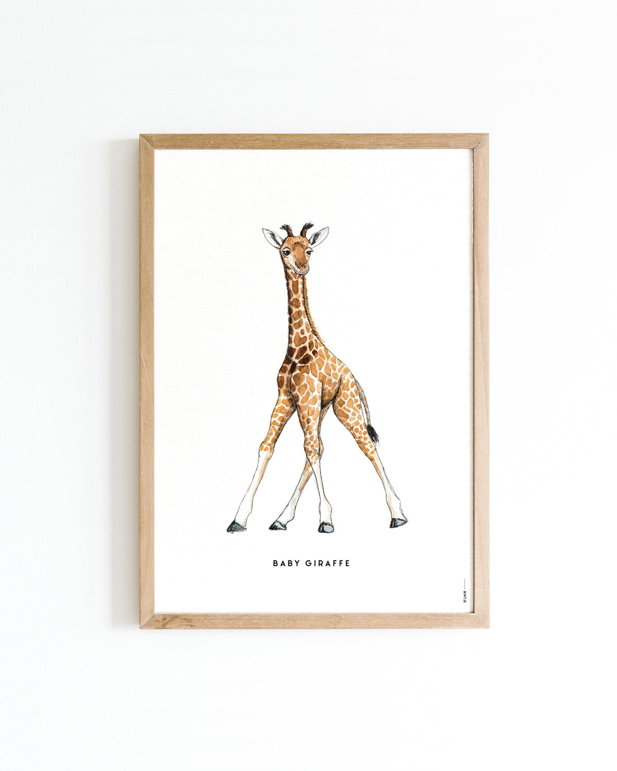 Poster 30x40 Baby giraf