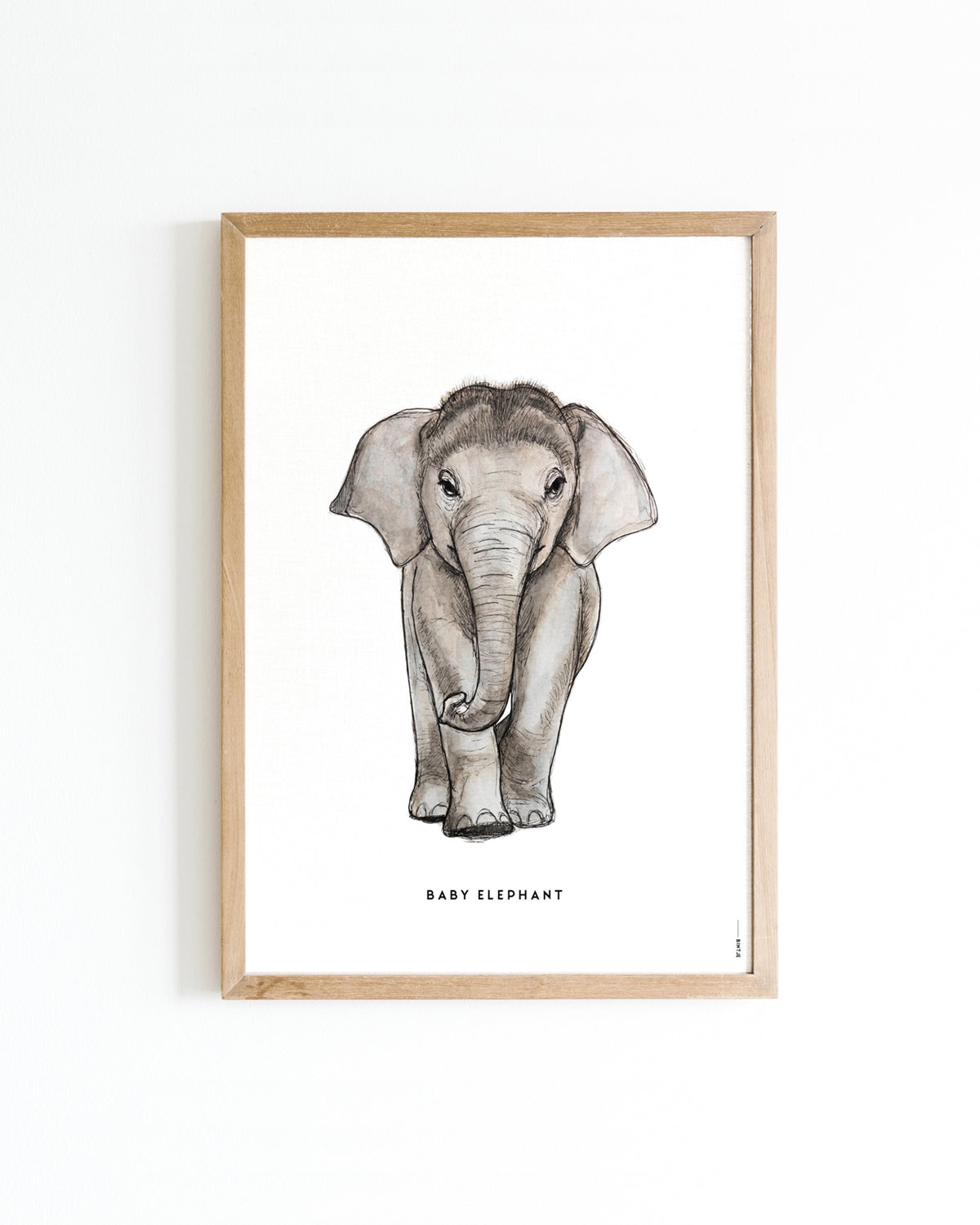 Poster 30x40 Baby olifant