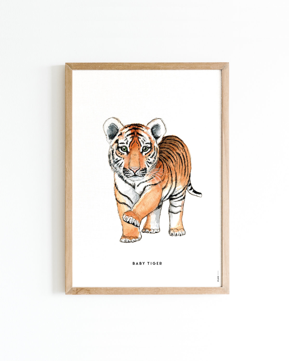 Poster 30x40 Baby tijger