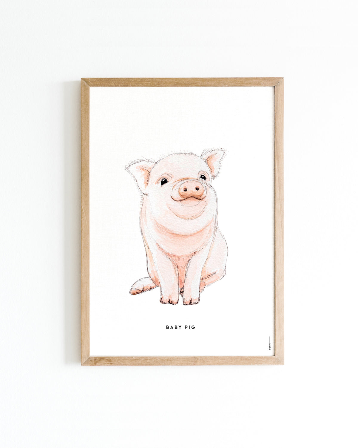 Poster 30x40 Boerderij: Biggetje