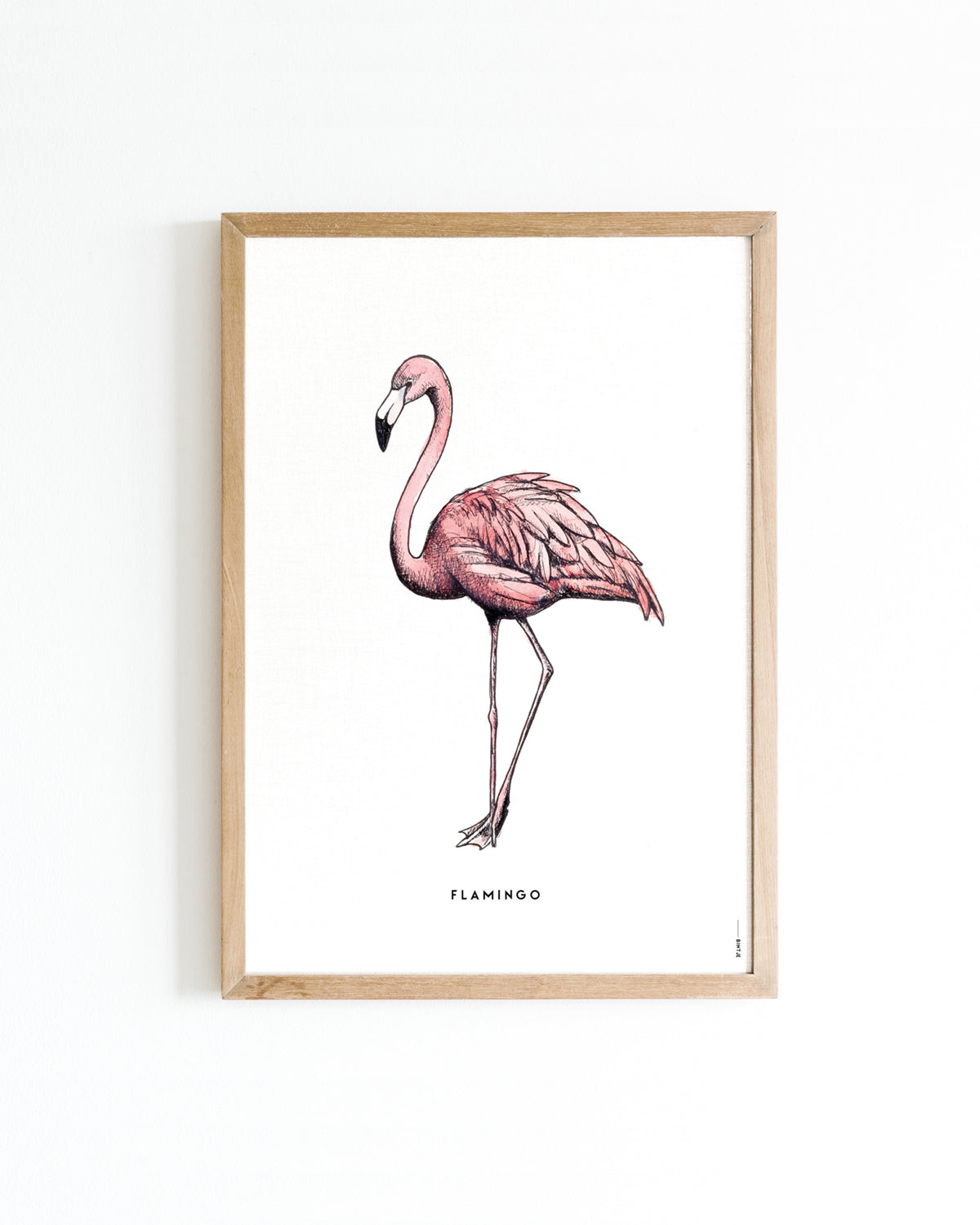 Poster 30x40 Flamingo