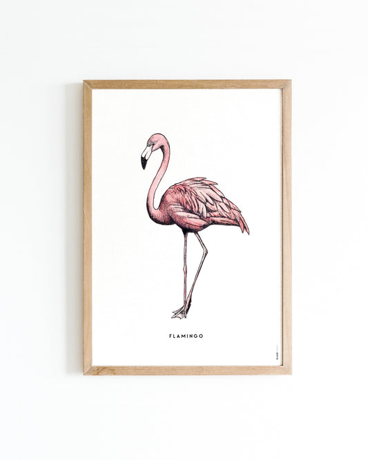 Poster 50x70 Flamingo