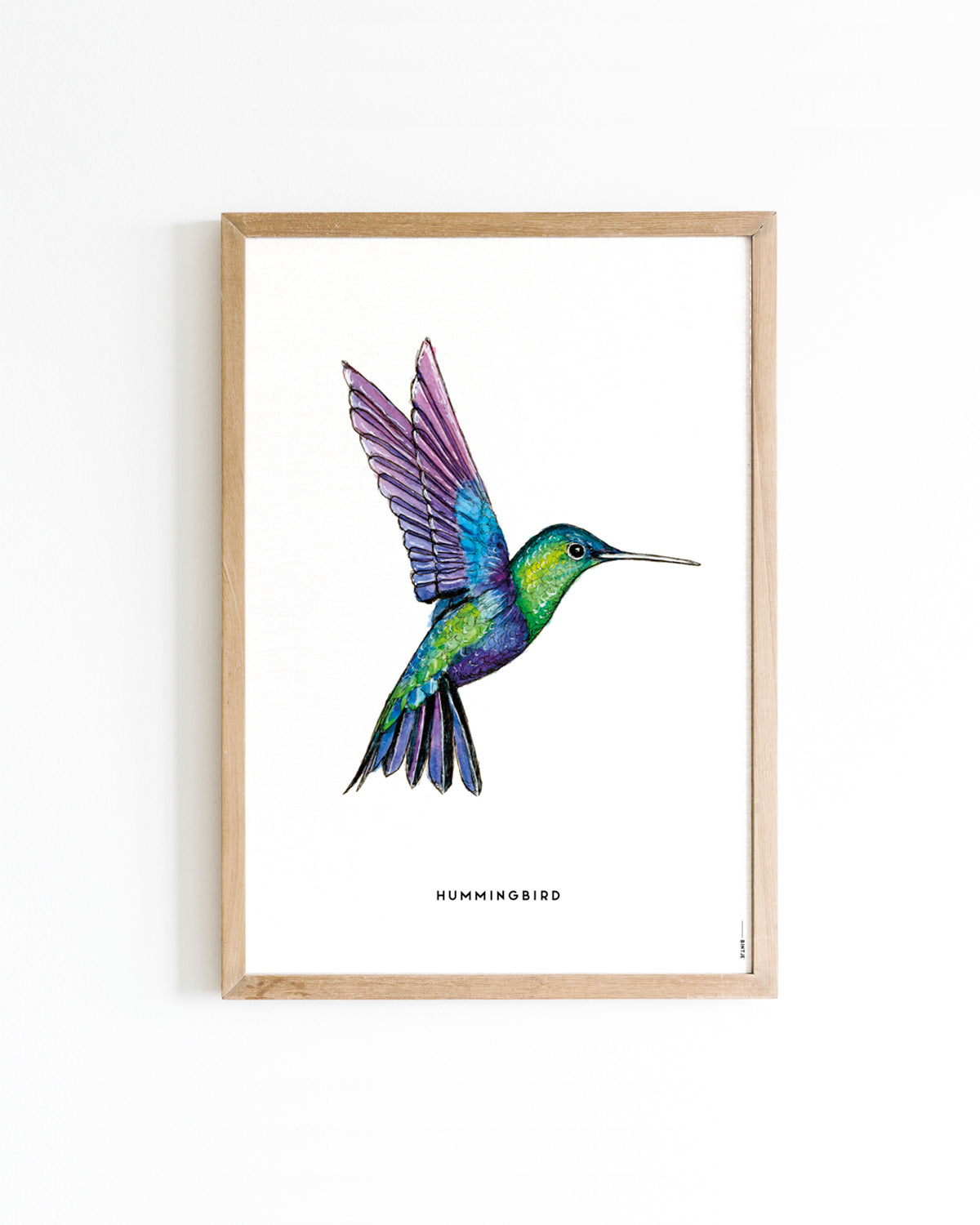 Poster 30x40 Kolibrie